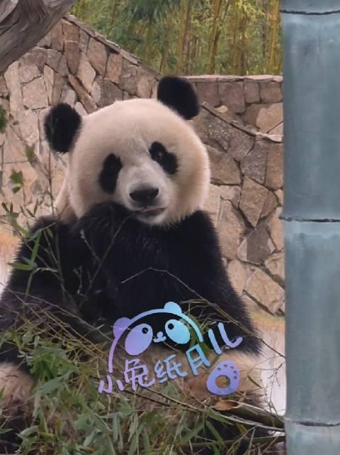 公告精选：中恒集团筹划转让莱美药业股权；岳阳林纸拟12.78亿元收购骏泰科技