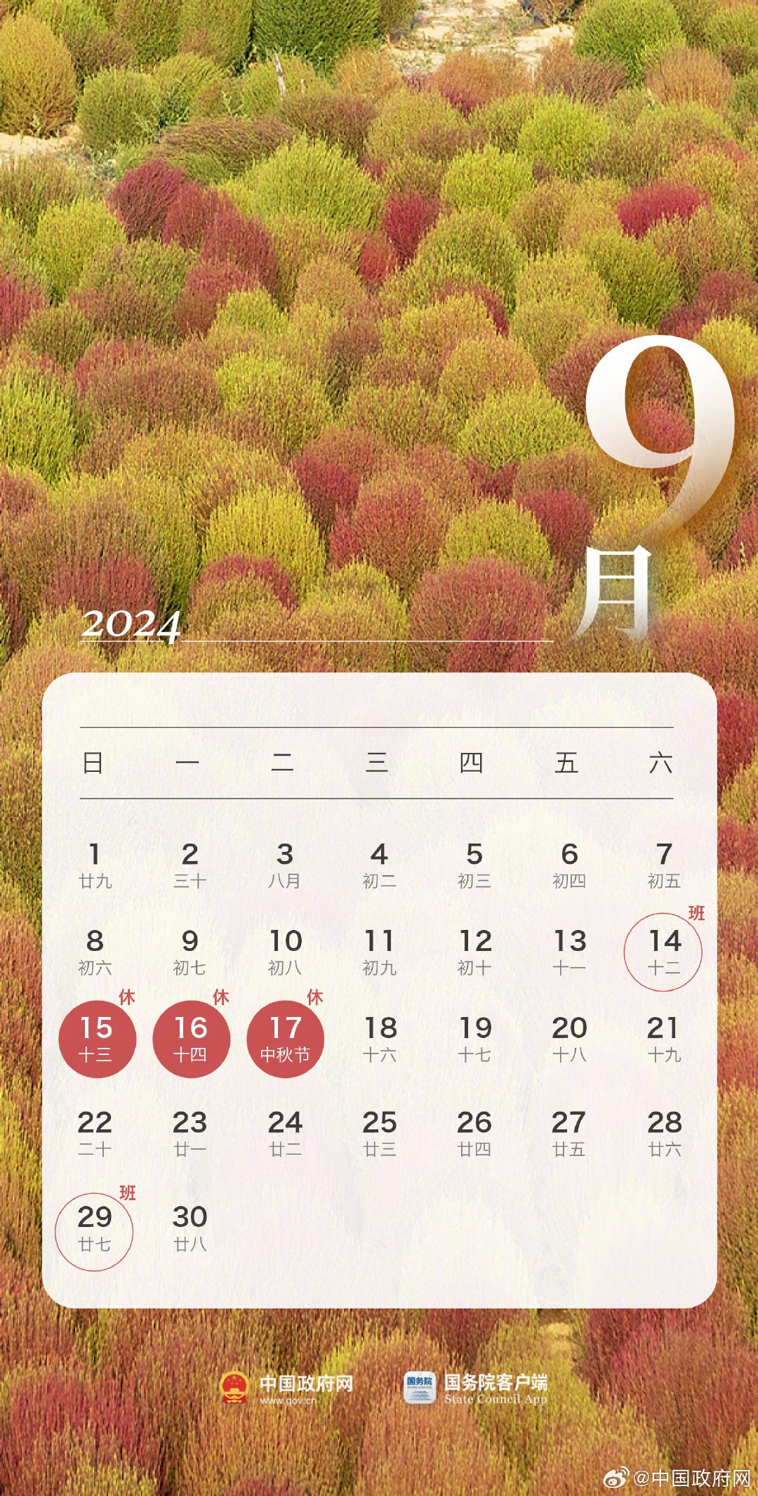 2024年12月3日今日南京冷轧板卷价格最新行情消息