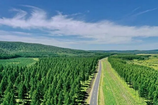 中央结算公司：全新发布绿色低碳转型债券数据库 做好绿色金融大文章