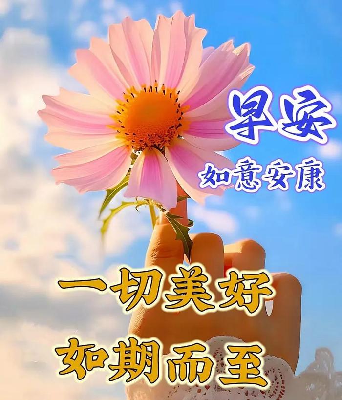 2024年12月24日今日龙岩圆钢价格最新行情消息