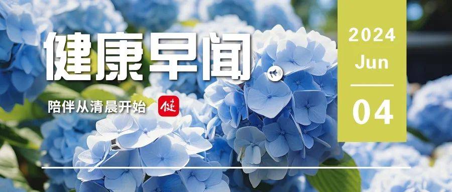 2025年1月4日今日棕刚玉价格最新行情走势