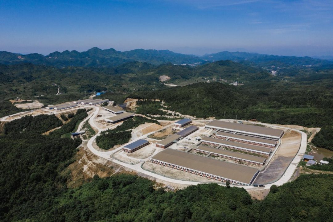 商务部贸易救济调查局将召开相关猪肉及猪副产品反倾销案听证会